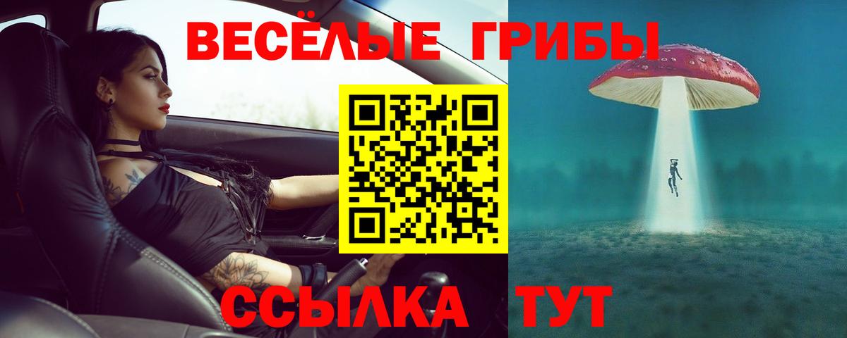 Псилоцибиновые грибы GOLDEN TEACHER  Вход с VPN  Электрогорск 